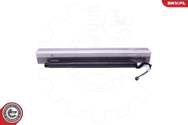Electric Motor, tailgate